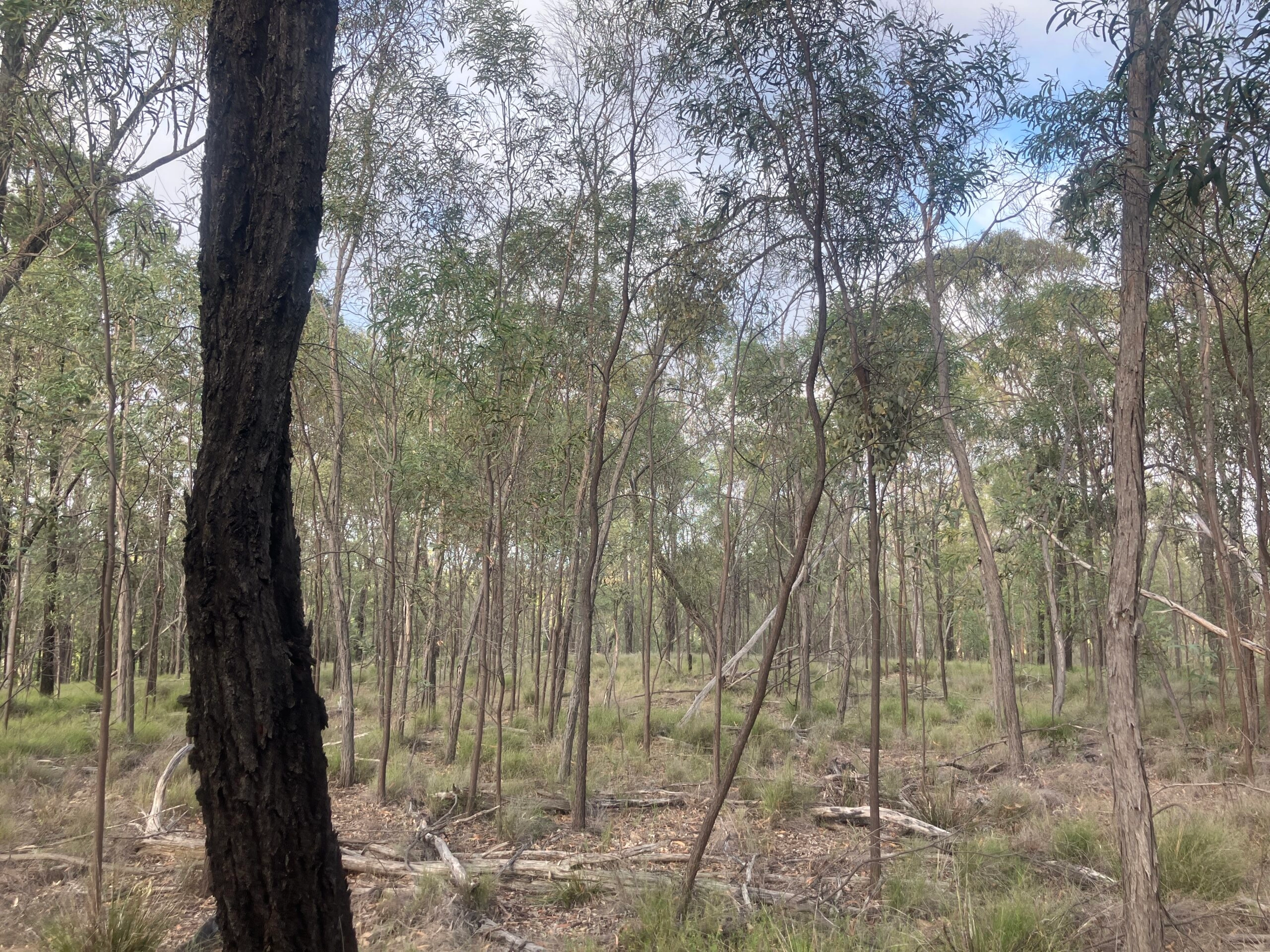 EPBC Referral decision