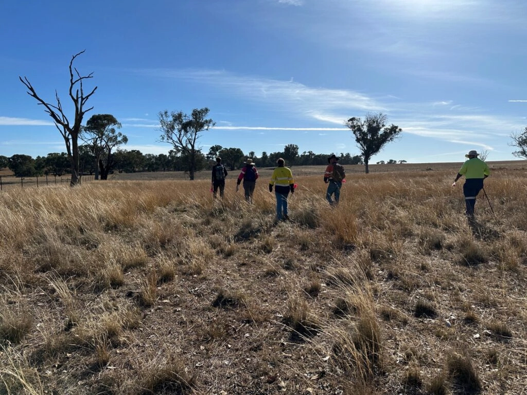 Cultural heritage site surveys completed